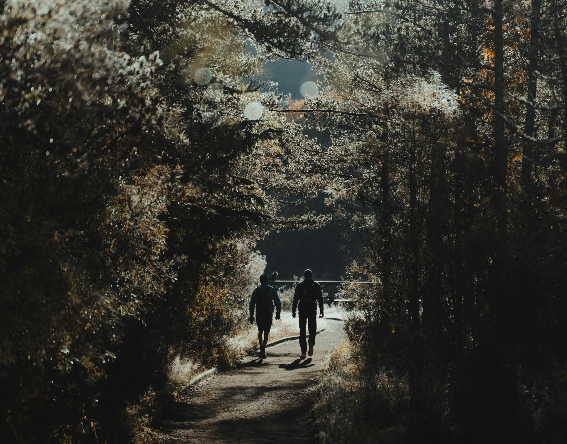 two people walking down a path in the woods